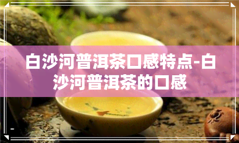 白沙河普洱茶口感特点-白沙河普洱茶的口感