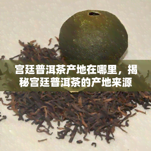 宫廷普洱茶产地在哪里，揭秘宫廷普洱茶的产地来源