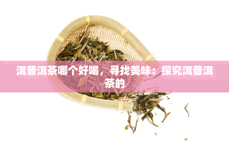 洱普洱茶哪个好喝，寻找美味：探究洱普洱茶的