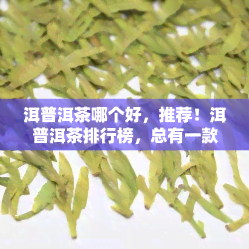 洱普洱茶哪个好，推荐！洱普洱茶排行榜，总有一款适合你！