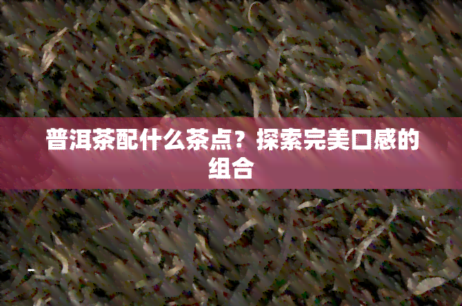 普洱茶配什么茶点？探索完美口感的组合