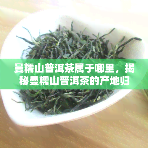 曼糯山普洱茶属于哪里，揭秘曼糯山普洱茶的产地归属