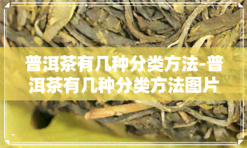 普洱茶有几种分类方法-普洱茶有几种分类方法图片