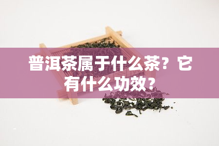 普洱茶属于什么茶？它有什么功效？