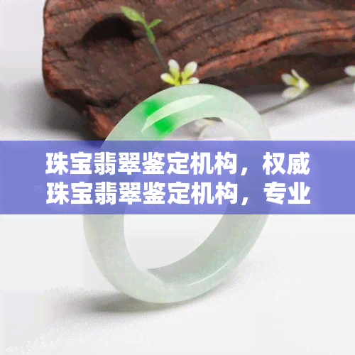 珠宝翡翠鉴定机构，权威珠宝翡翠鉴定机构，专业提供精准鉴定服务