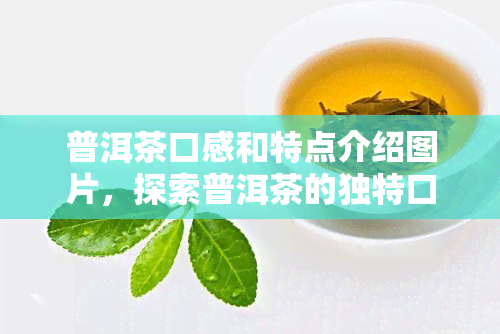 普洱茶口感和特点介绍图片，探索普洱茶的独特口感与特点：精美图片带你一探究竟