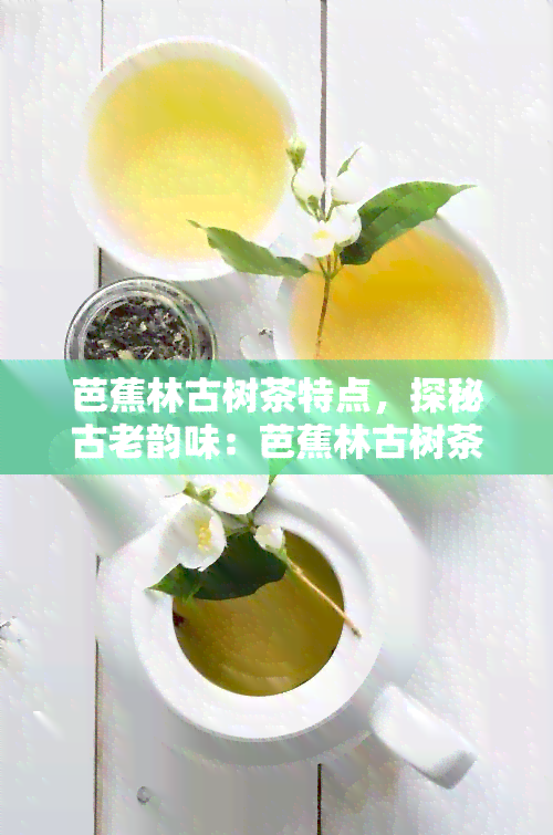 芭蕉林古树茶特点，探秘古老韵味：芭蕉林古树茶的独特特点