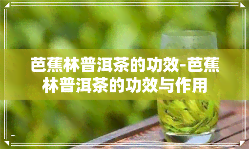 芭蕉林普洱茶的功效-芭蕉林普洱茶的功效与作用