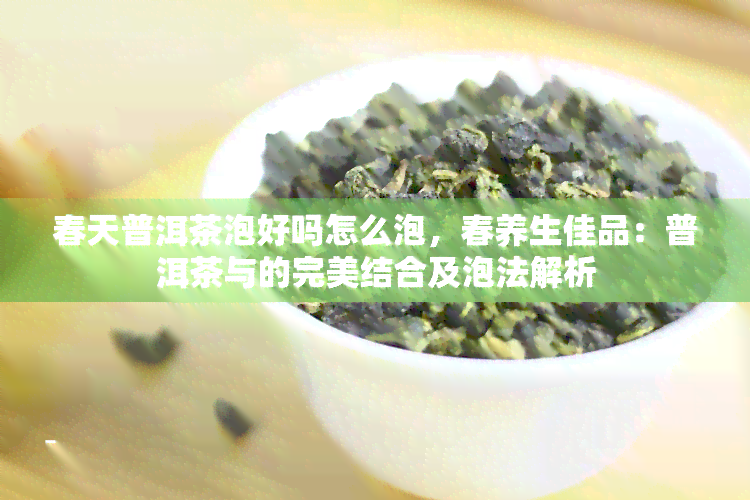 春天普洱茶泡好吗怎么泡，春养生佳品：普洱茶与的完美结合及泡法解析