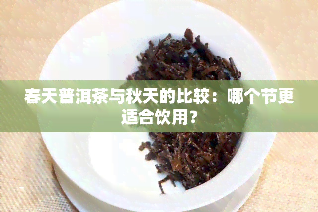 春天普洱茶与秋天的比较：哪个节更适合饮用？