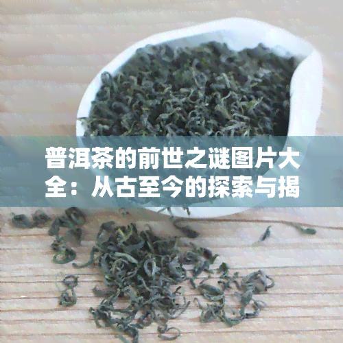 普洱茶的前世之谜图片大全：从古至今的探索与揭秘