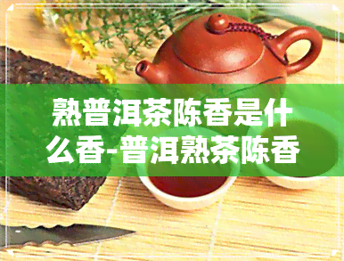 熟普洱茶陈香是什么香-普洱熟茶陈香是什么味