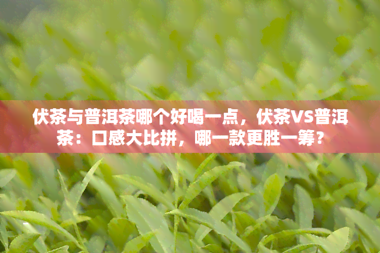 伏茶与普洱茶哪个好喝一点，伏茶VS普洱茶：口感大比拼，哪一款更胜一筹？