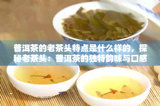 普洱茶的老茶头特点是什么样的，探秘老茶头：普洱茶的独特韵味与口感特征