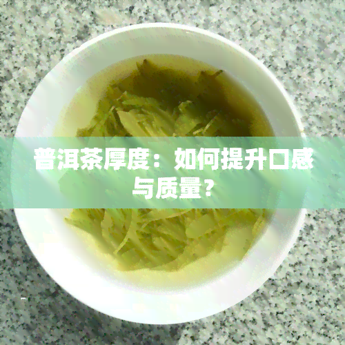 普洱茶厚度：如何提升口感与质量？