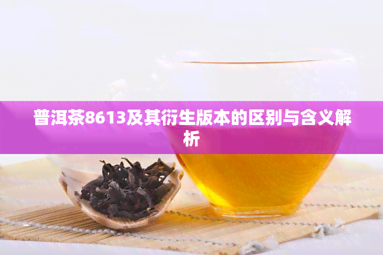 普洱茶8613及其衍生版本的区别与含义解析