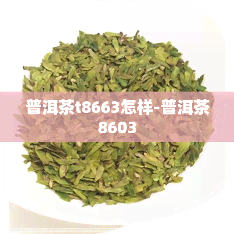 普洱茶t8663怎样-普洱茶8603