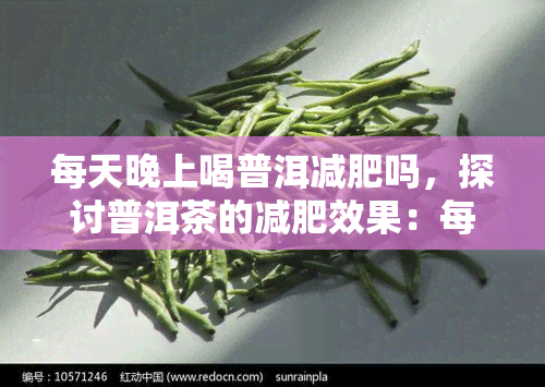 每天晚上喝普洱减肥吗，探讨普洱茶的减肥效果：每天晚上喝能帮助减重吗？