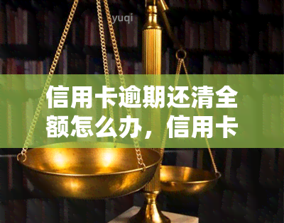 信用卡逾期还清全额怎么办，信用卡逾期还清全额的步骤和方法