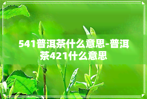 541普洱茶什么意思-普洱茶421什么意思