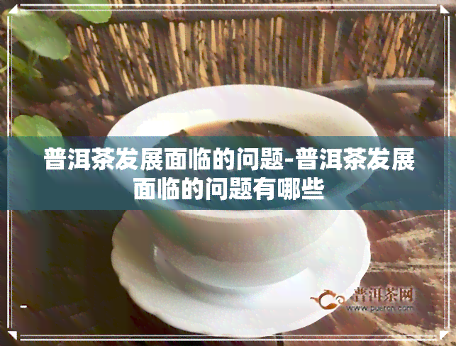 普洱茶发展面临的问题-普洱茶发展面临的问题有哪些