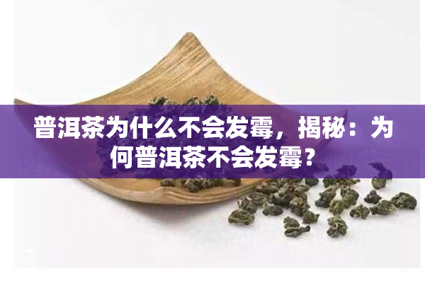 普洱茶为什么不会发霉，揭秘：为何普洱茶不会发霉？