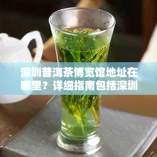 深圳普洱茶博览馆地址在哪里？详细指南包括深圳普洱茶博物馆、公司和场信息