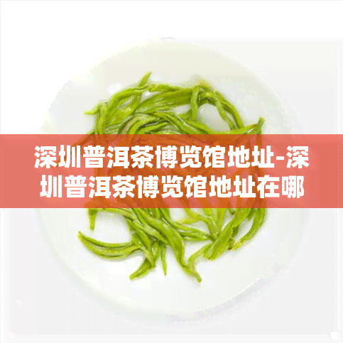 深圳普洱茶博览馆地址-深圳普洱茶博览馆地址在哪里