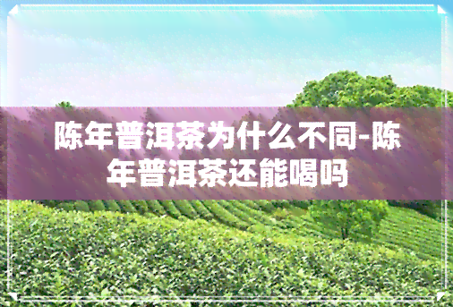 陈年普洱茶为什么不同-陈年普洱茶还能喝吗