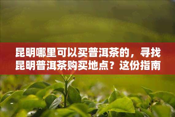 昆明哪里可以买普洱茶的，寻找昆明普洱茶购买地点？这份指南带你轻松购茶！