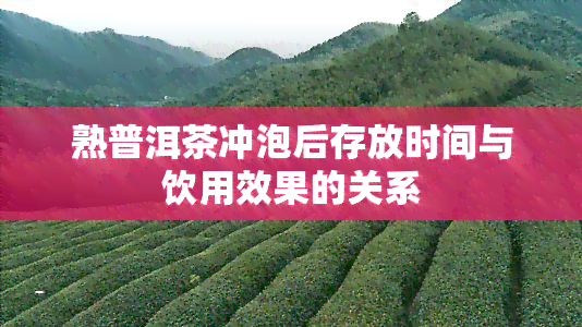 熟普洱茶冲泡后存放时间与饮用效果的关系