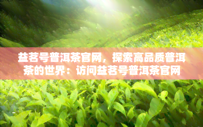 益茗号普洱茶官网，探索高品质普洱茶的世界：访问益茗号普洱茶官网