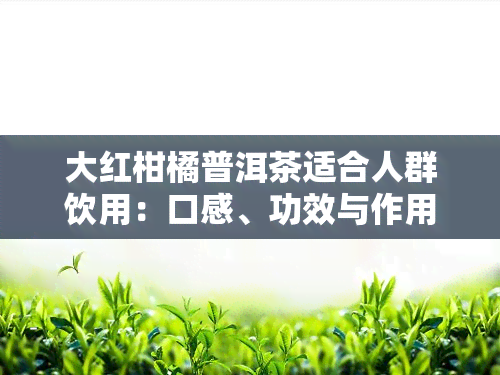 大红柑橘普洱茶适合人群饮用：口感、功效与作用解析