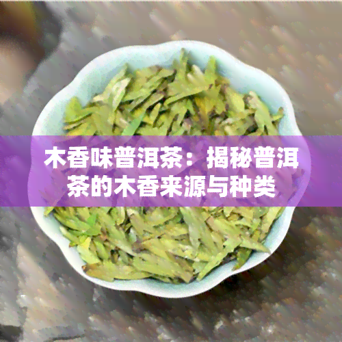 木香味普洱茶：揭秘普洱茶的木香来源与种类