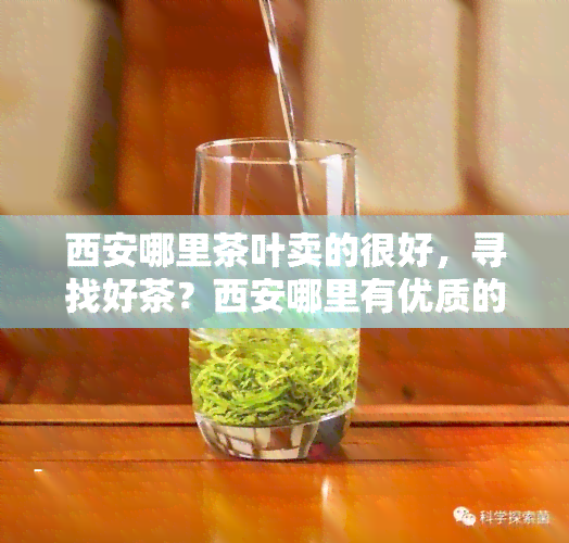 西安哪里茶叶卖的很好，寻找好茶？西安哪里有优质的茶叶店推荐！