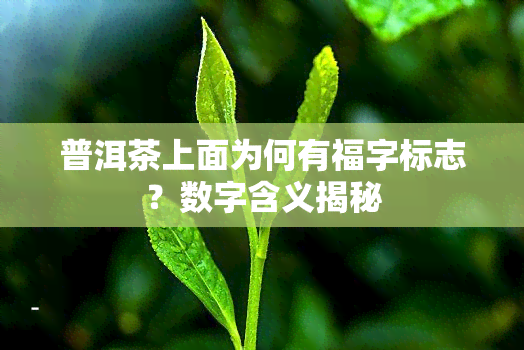 普洱茶上面为何有福字标志？数字含义揭秘