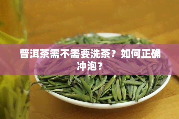 普洱茶需不需要洗茶？如何正确冲泡？