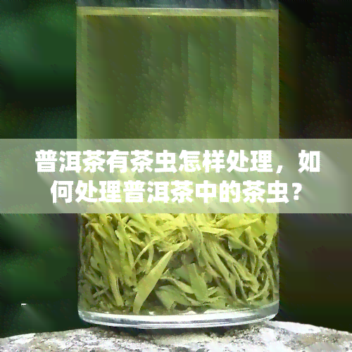 普洱茶有茶虫怎样处理，如何处理普洱茶中的茶虫？