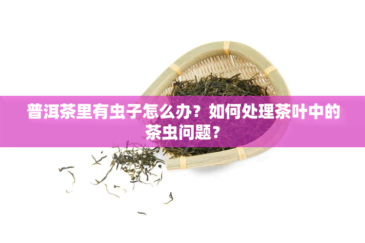 普洱茶里有虫子怎么办？如何处理茶叶中的茶虫问题？