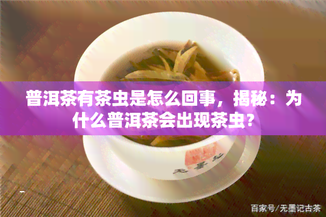 普洱茶有茶虫是怎么回事，揭秘：为什么普洱茶会出现茶虫？