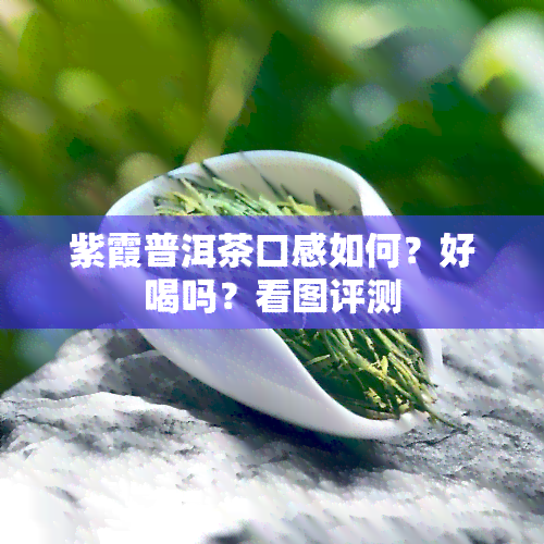 紫霞普洱茶口感如何？好喝吗？看图评测