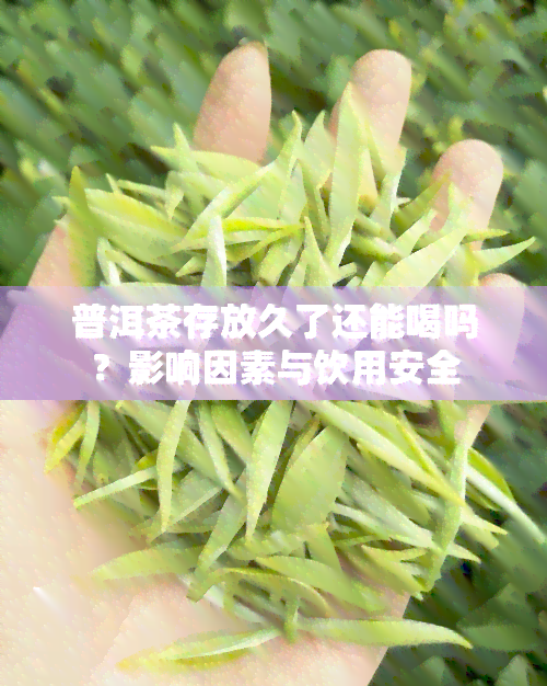 普洱茶存放久了还能喝吗？影响因素与饮用安全