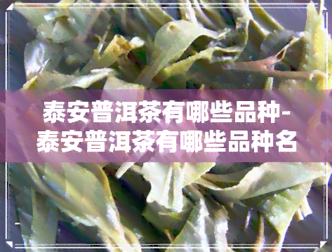 泰安普洱茶有哪些品种-泰安普洱茶有哪些品种名称