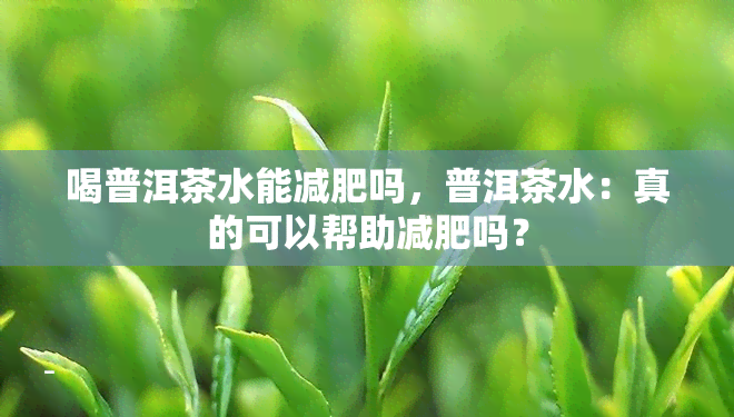 喝普洱茶水能减肥吗，普洱茶水：真的可以帮助减肥吗？