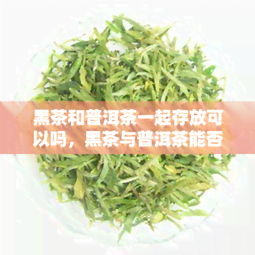 黑茶和普洱茶一起存放可以吗，黑茶与普洱茶能否混合存放？一份全面的指南