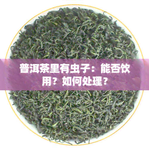 普洱茶里有虫子：能否饮用？如何处理？