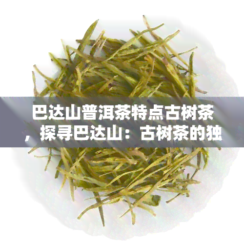 巴达山普洱茶特点古树茶，探寻巴达山：古树茶的独特魅力与普洱茶的特点