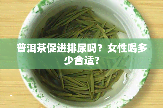 普洱茶促进排尿吗？女性喝多少合适？