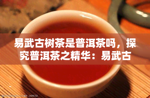 易武古树茶是普洱茶吗，探究普洱茶之精华：易武古树茶的特性与分类