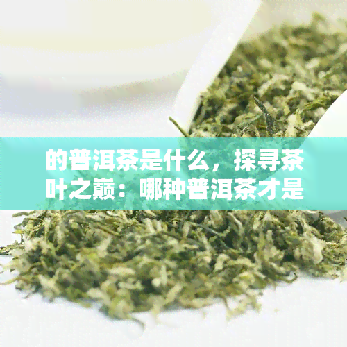 的普洱茶是什么，探寻茶叶之巅：哪种普洱茶才是的？